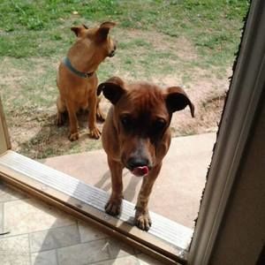 Meet your Posher, Cody